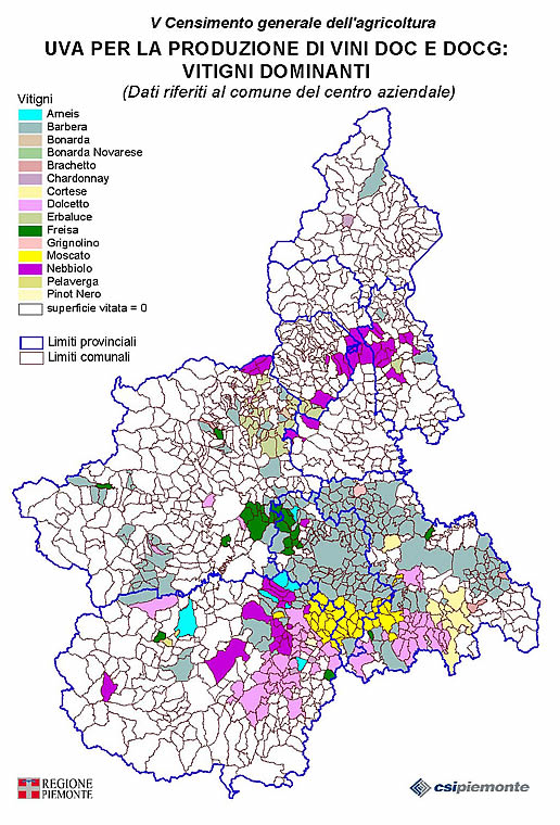 Uva per la produzione di vini DOC e DOCG: vitigni dominanti