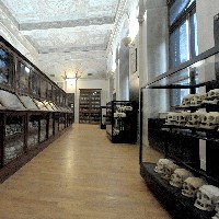 Una delle sale del museo Lombroso