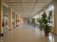 L'ingresso della Dental School di Torino