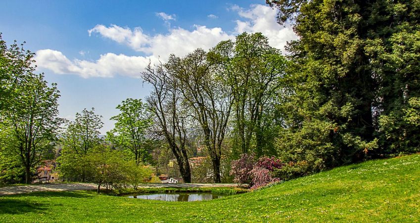 Il parco del Ticino