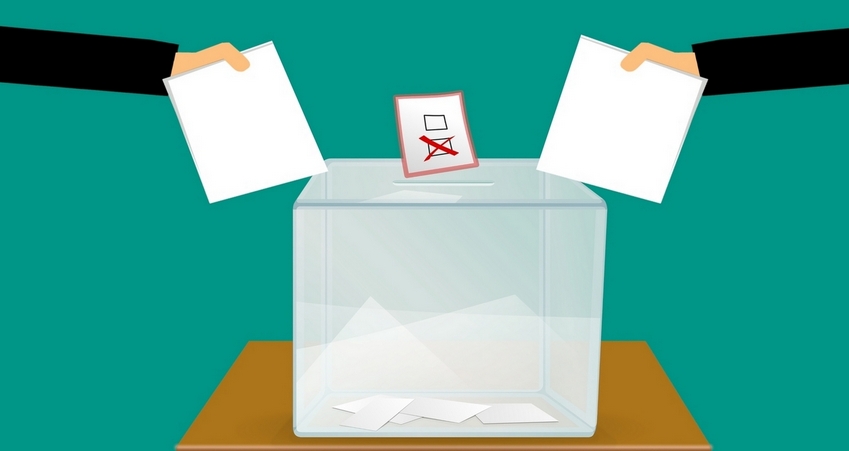 Disegno urna elettorale
