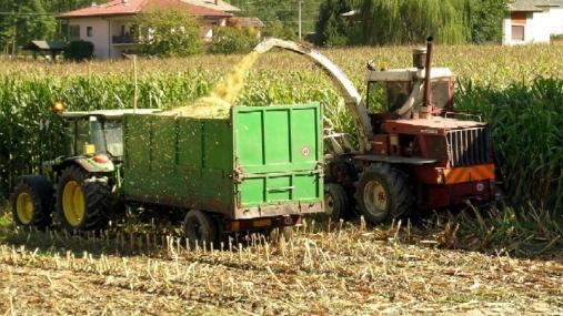 Agricoltori al lavoro