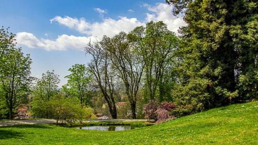 Il parco del Ticino