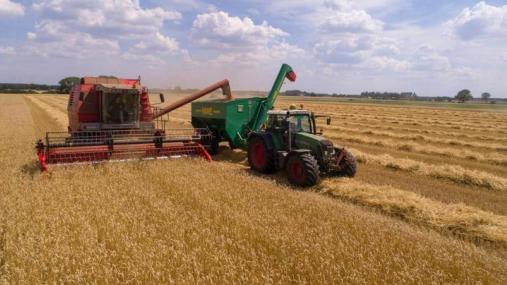Lavori agricoli