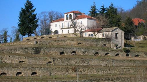 Terrazzamenti a Cortemilia (CN)