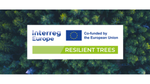 Banner con logo progetto Resilient Trees, programma Interreg Europe 2021-2027