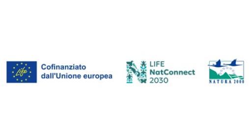 logo life nat connect