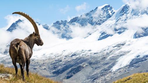img_natura_in_piemonte.jpg Miniatura