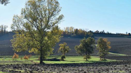 Raggiunti e superati gli obiettivi per la raccolta differenziata dei  rifiuti, Regione Piemonte, Piemonteinforma