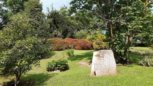 Uno scorcio del Giardino botanico Rea di Trana 