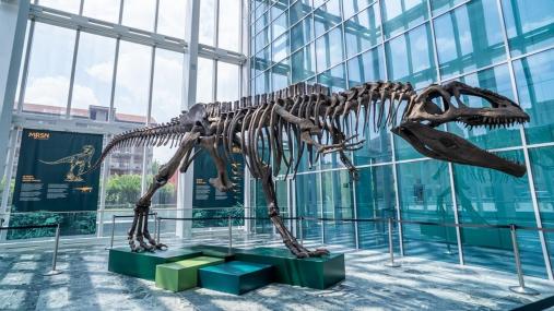 Un dinosauro a Palazzo