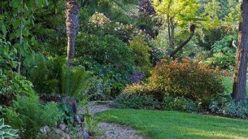 Saluzzo (CN). Giardino ricco di vegetazione 