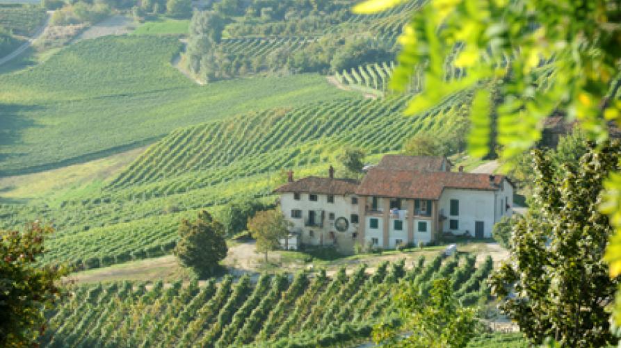 Cascina tra La Morra e Barolo