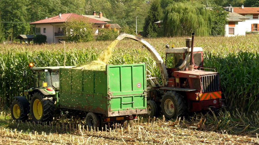 Agricoltori al lavoro 