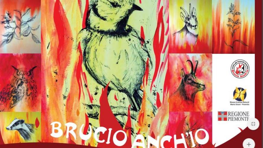 brucio_anchio.jpg