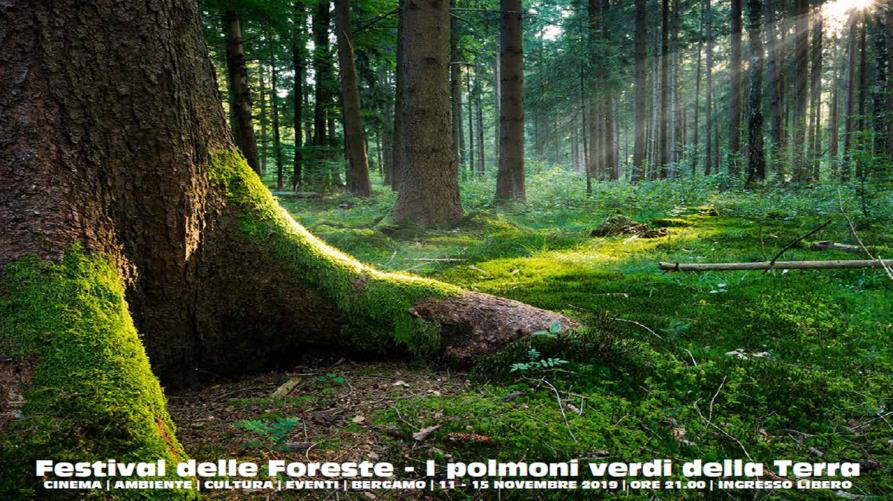 copertina-festival-foreste-2019.jpg