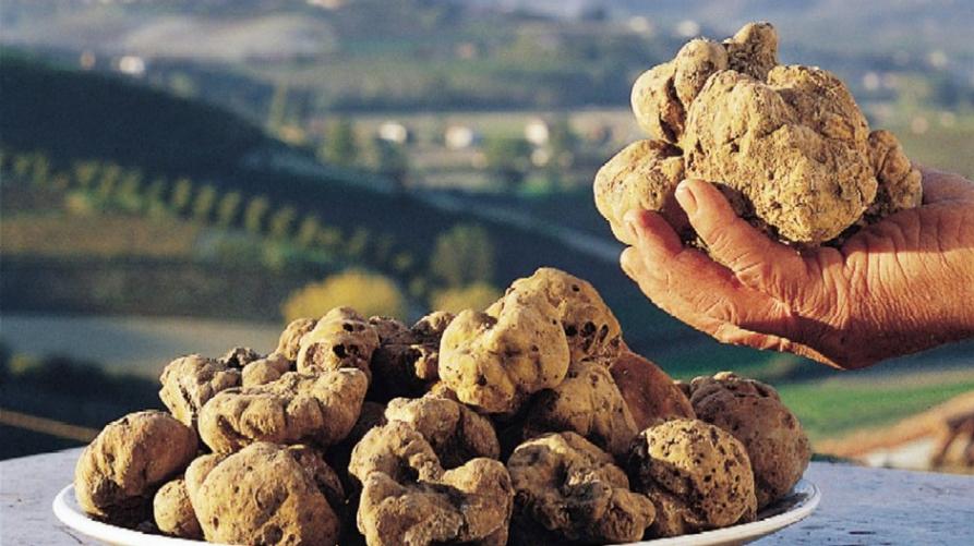 Piatto di tartufi 