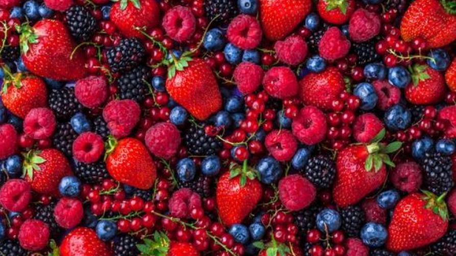 piccoli frutti