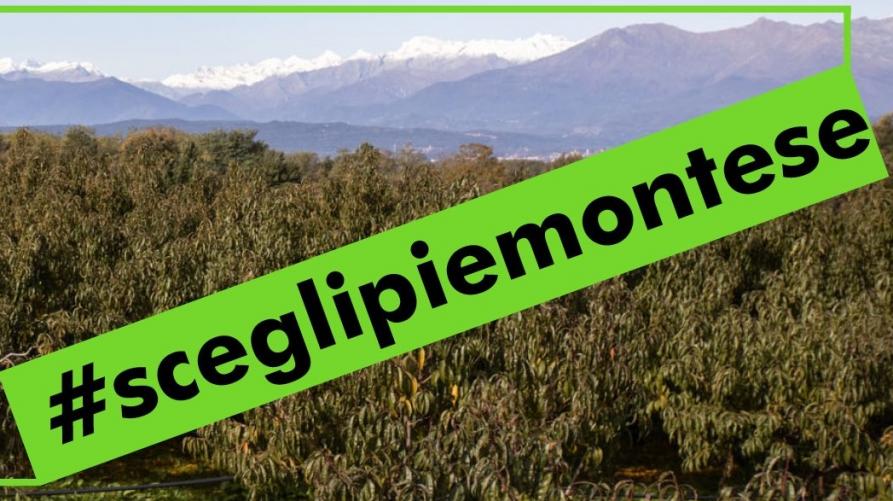 sceglipiemontese_img_bannerpic.jpg