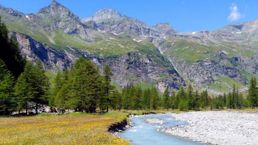 Veduta delle Valli di Lanzo (da https://turismovallidilanzo.it)