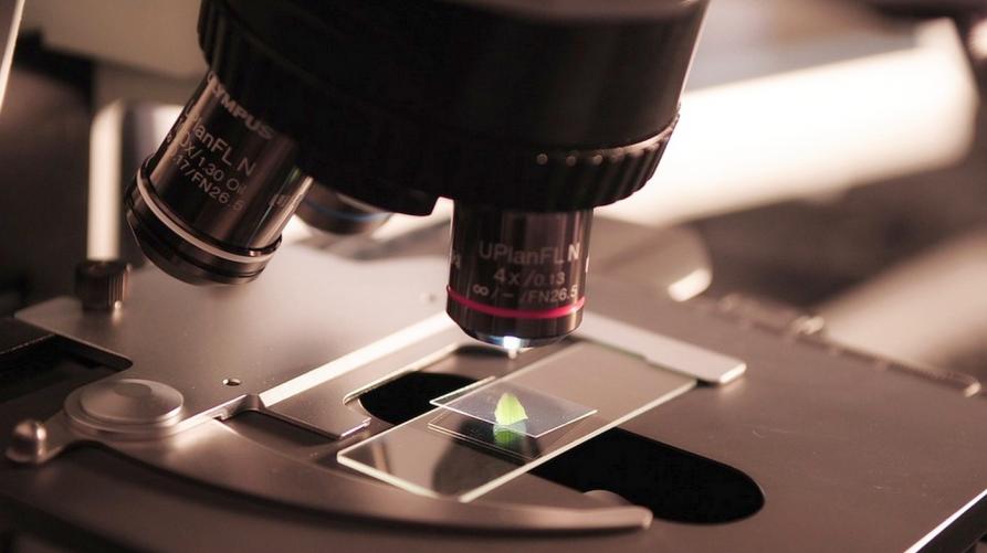 Microscopio 