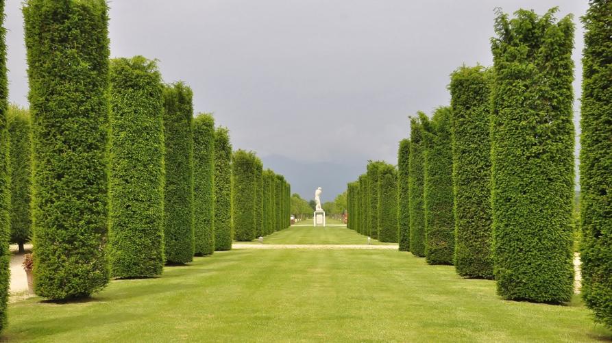 Parco della Reggia di Venaria 