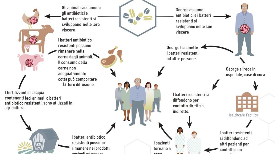 come avviene la diffusione dell'antibiotico-resistenza 