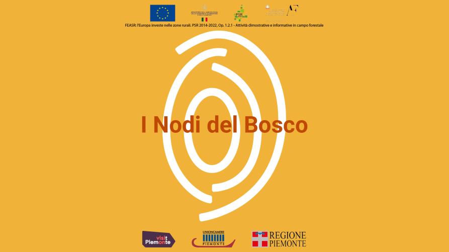 I nodi del bosco 