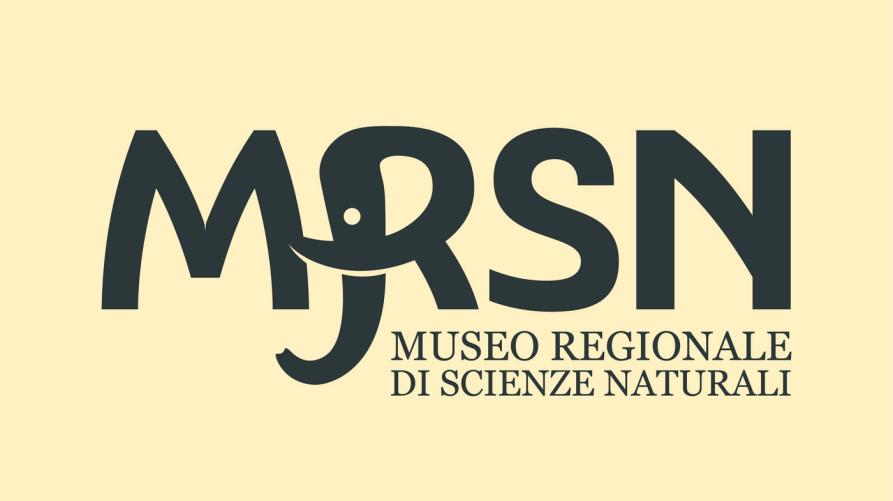 Il logo del Museo 