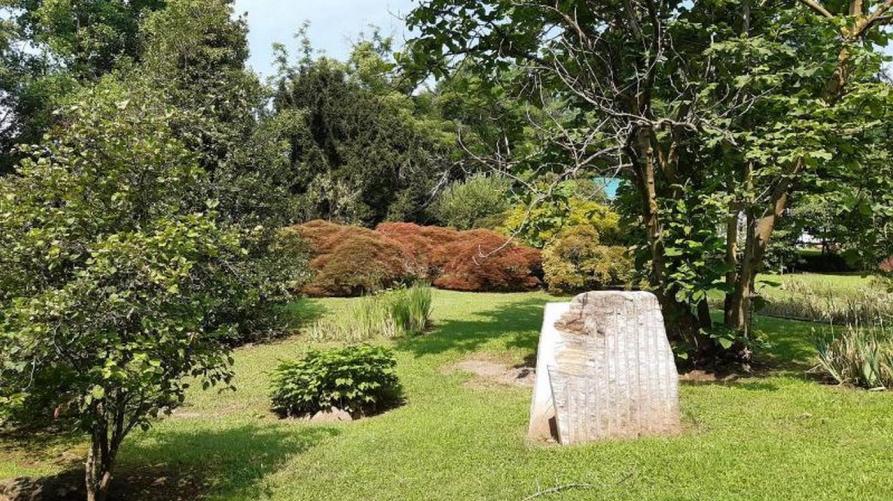 Uno scorcio del Giardino botanico Rea di Trana 