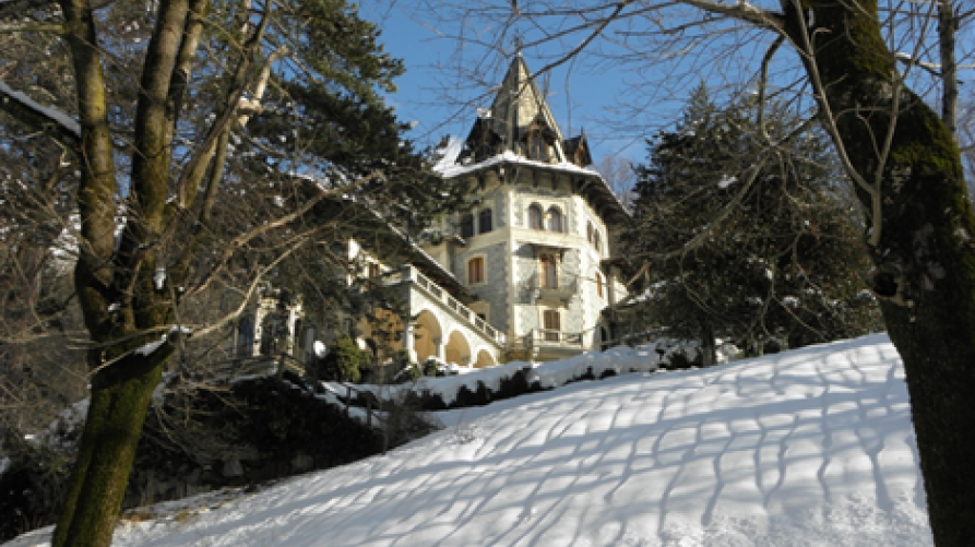 Fobello (VC). Un prato ripido innevato porta a Villa Musy inquadrata dal basso e incorniciata far due tronchi di albero spogli. Alcune conifere verdi in alto a destra. 