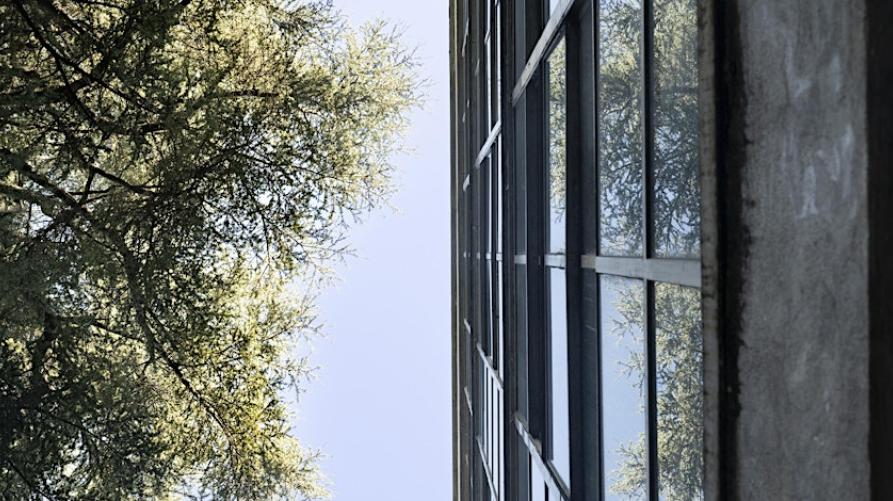 Transizione ecologica e cultura ecologica