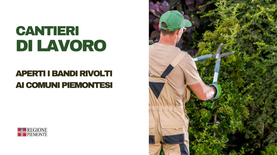 Immagine di uomo al lavoro di manutenzione del verde