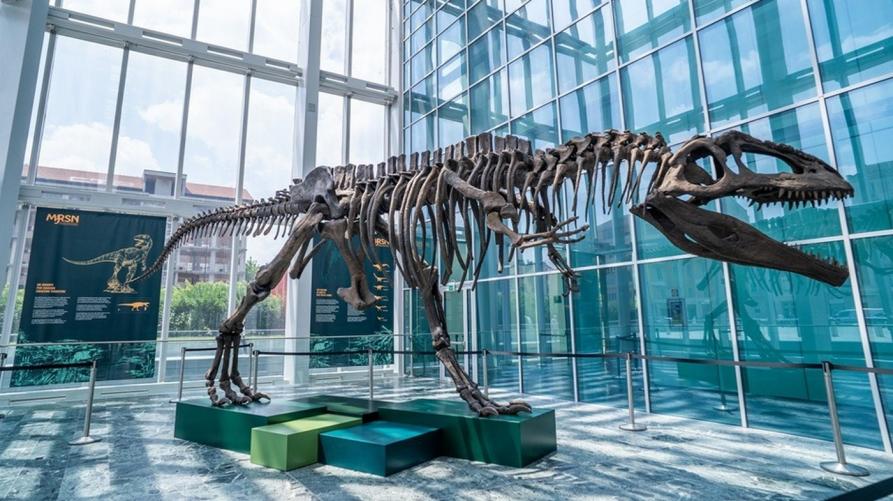 Il dinosauro 