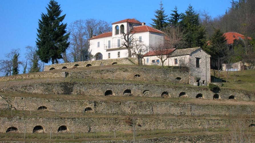 Terrazzamenti a Cortemilia (CN) 