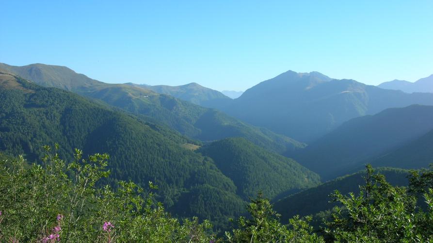 Foresta regionale dell'Alta Val Sessera 