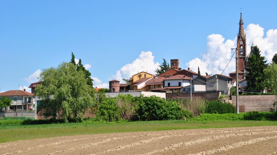 Sezzadio (AL). Dal campo arato si vedono in lontananza alberi verdeggianti e un gruppo di case. Sullo sfondo a destra il campanile della Chiesa di Maria Immacolata 