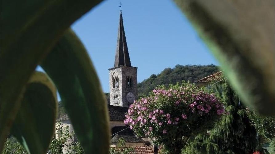 Arola (VCO). Fra le foglie di un'agave e i fiori di un cespuglio rosa emerge la parte finale del campanile con cuspide piramidale della Chiesa di San Bartolomeo 