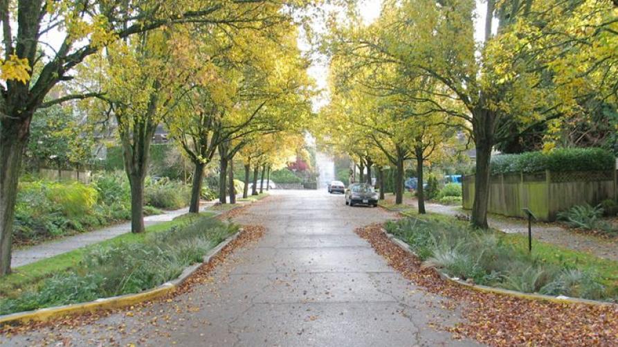 Rigenerazione urbana viale alberato 