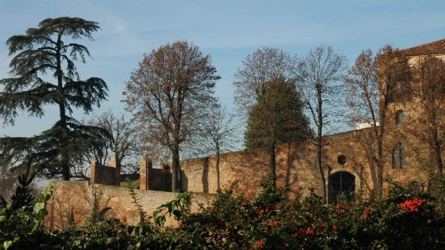 Bruno (AT). Il Castello intravisto fra le piante e i cespugli in fiore 