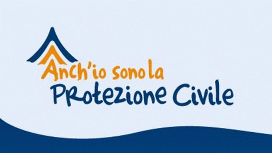 Il logo 