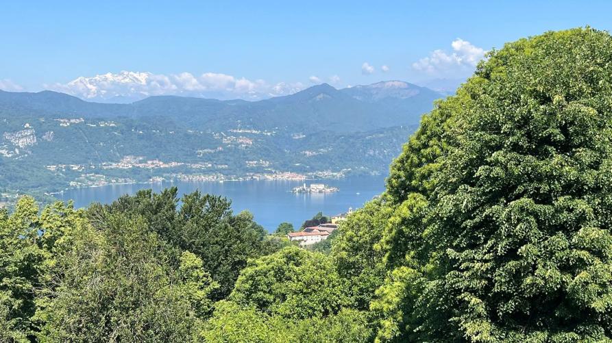 Ameno (NO). Dalle fronde rigogliose degli alberi si intravede uno scorcio del lago d'Orta e la sponda opposta. Il cielo blu è solcato da piccole nuvole che sfiorano le vette lontane delle montagne. Fotografia di Mauriliano Castiglioni (2026). 