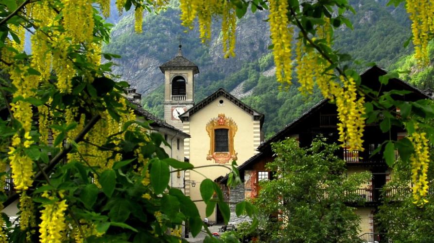Mollia (VC). Attraverso le fronde rigogliose degli alberi si intravede il Parrocchiale e a sinistra la torre con orologio 