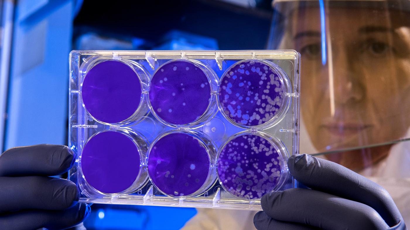 Coronavirus, la gestione della situazione in Piemonte | Regione ...