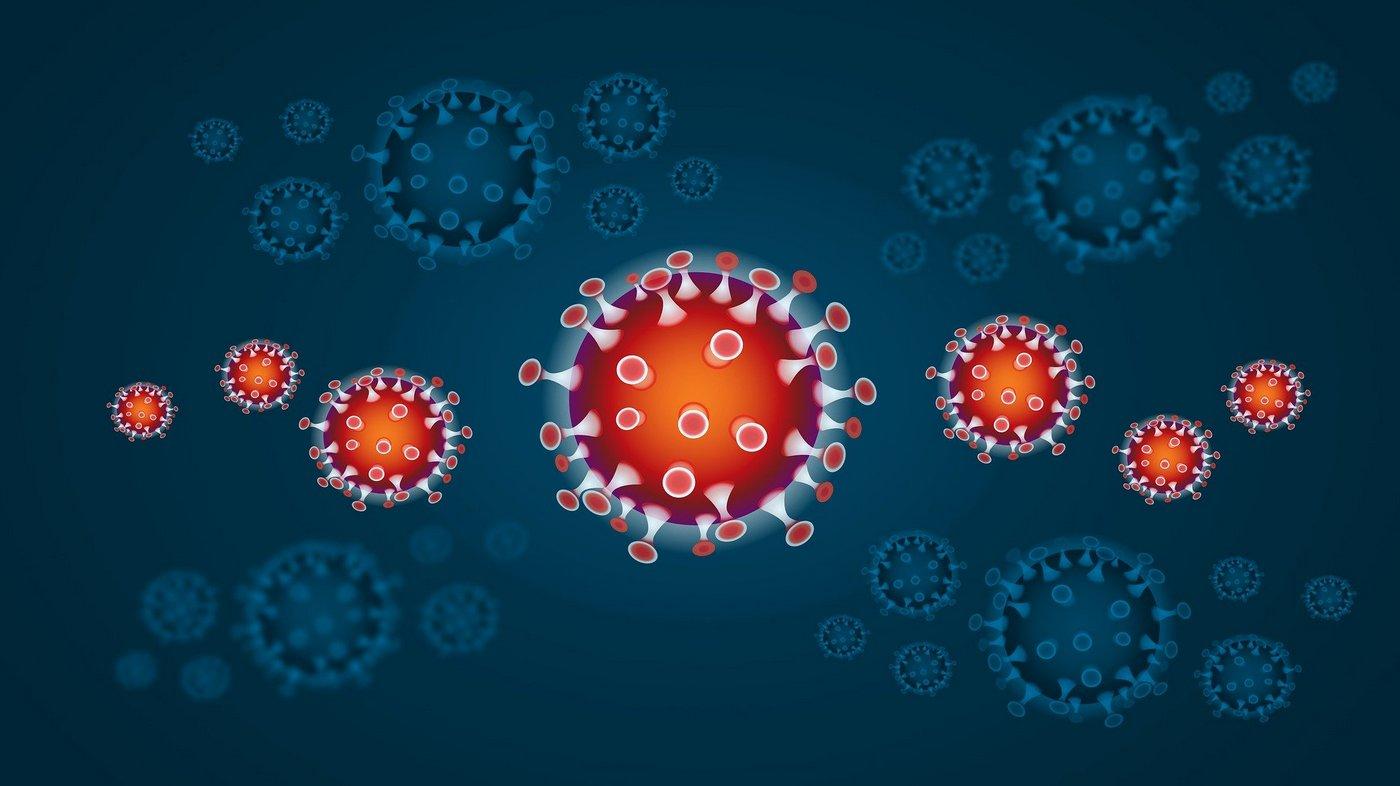 Risultato immagini per coronavirus