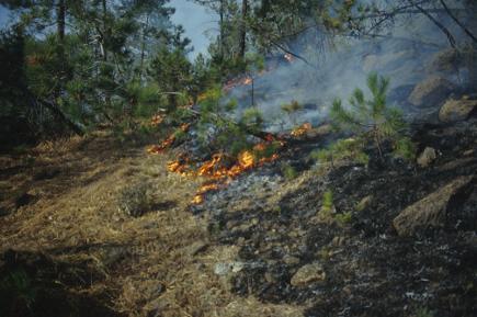 incendio radente 