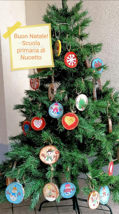 Scuola primaria di Nucetto (CN) - Classi 1, 2, 4, 5 