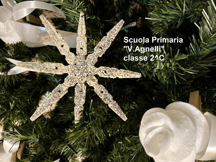 SCUOLA PRIMARIA VIRGINIA AGNELLI TORINO CLASSE 2C
