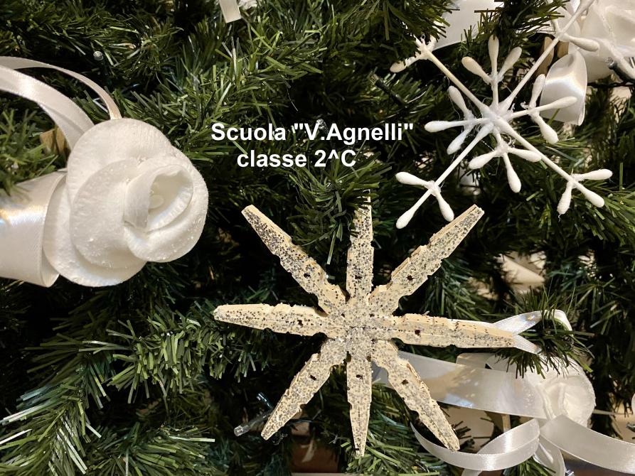 SCUOLA PRIMARIA VIRGINIA AGNELLI TORINO CLASSE 2C