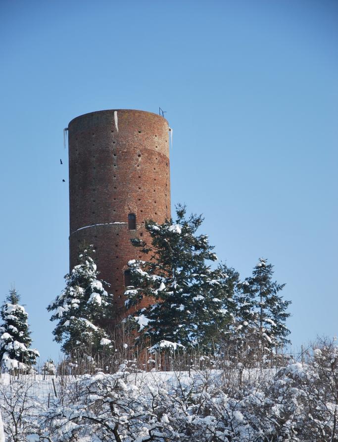 Montaldo Roero (CN). Torre medioevale. Immagini di Luigi Giacone 